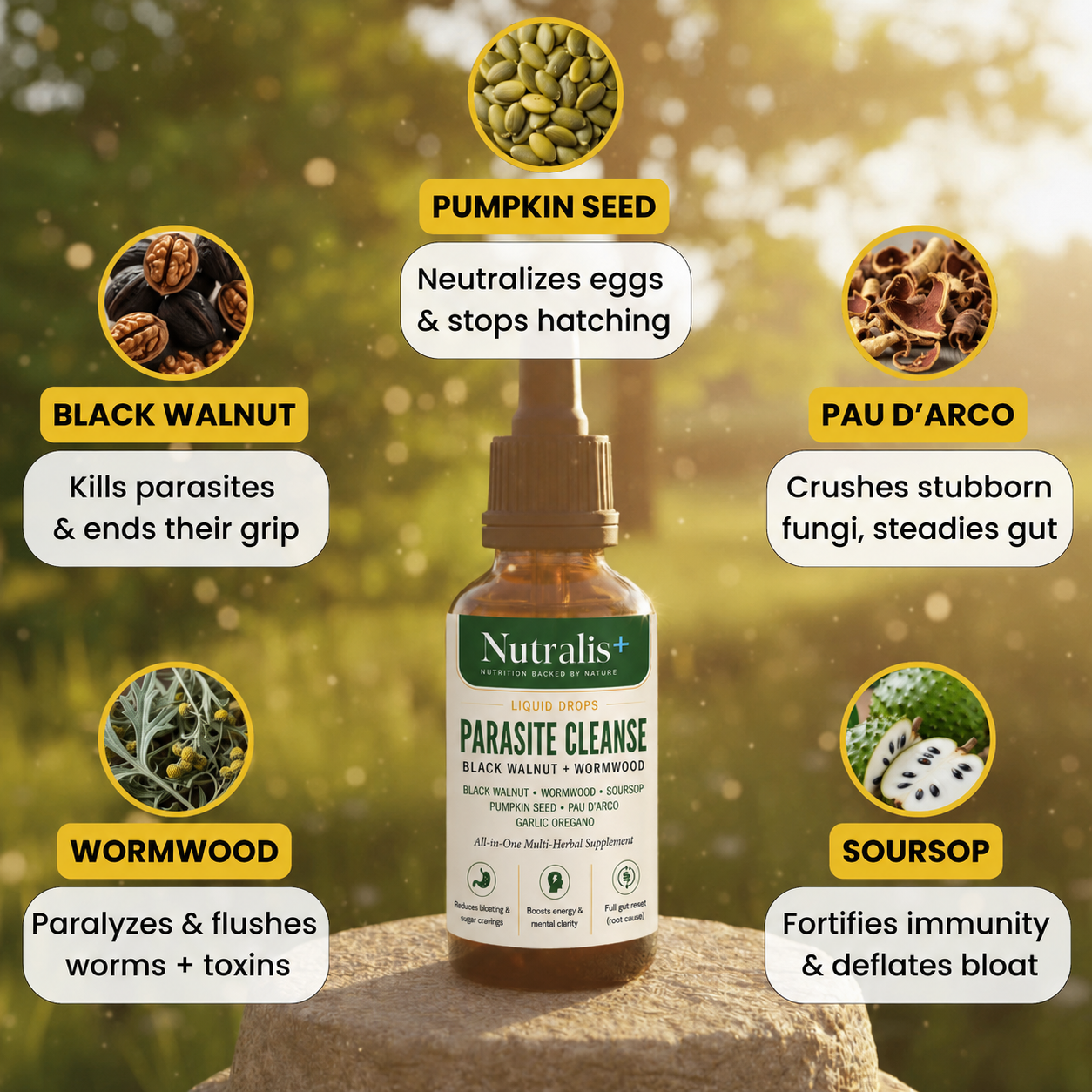 Black Walnut Wormwood Parasite Cleanse